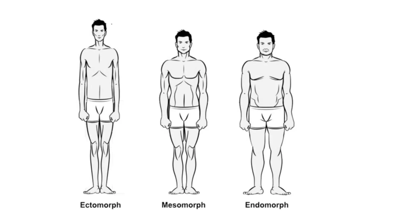 Guía Completa de Entrenamiento y Dieta Según Tu Tipo de Cuerpo: Ectomorfo, Mesomorfo o Endomorfo